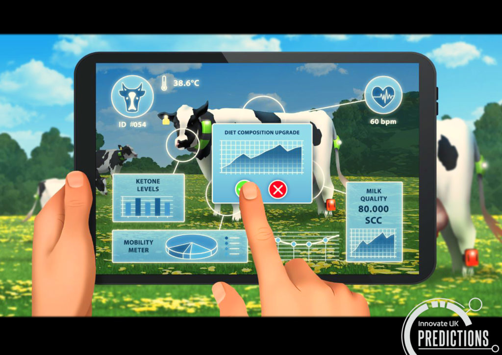 Innovate UK || Predictions